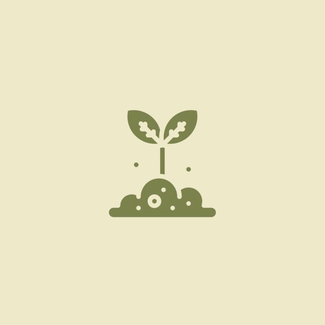 Logo Seeds English School